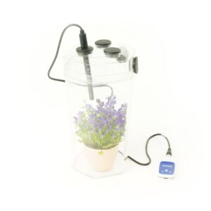 Fotossíntese e respiração celular em plantas com Cobra SMARTsense | P4110669