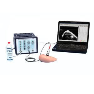 Investigação ultrassonográfica com manequim de mama | P5950300
